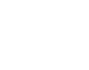 ארז צדוק, מנכ''ל אביב בית השקעות